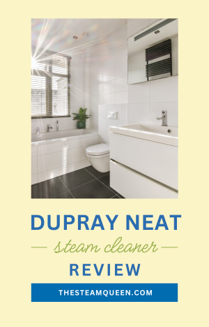 Dupray Neat Steam Cleaner Review