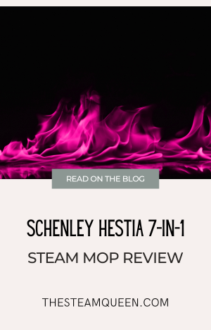 Schenley Hestia 7-in-1 Steam Mop Review