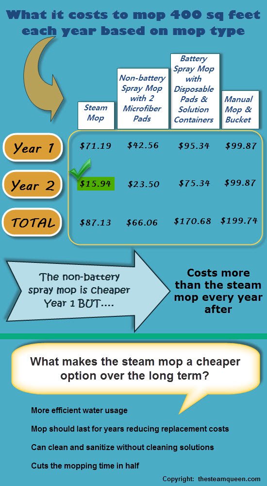 Steam Mop Cost Comparison Infographic