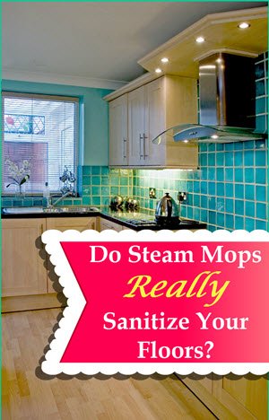 Steam Mops Sanitize Floors